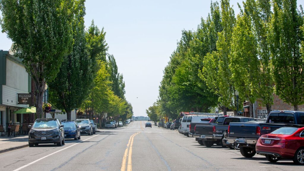 A serene urban street scene featuring lined trees and parked cars under a bright sky.