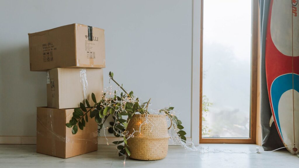 A cozy indoor scene featuring cardboard boxes, a plant, and a surfboard near a window.